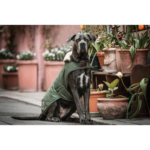 Водоустойчиво кучешко палтенце 300 g маслинено зелено