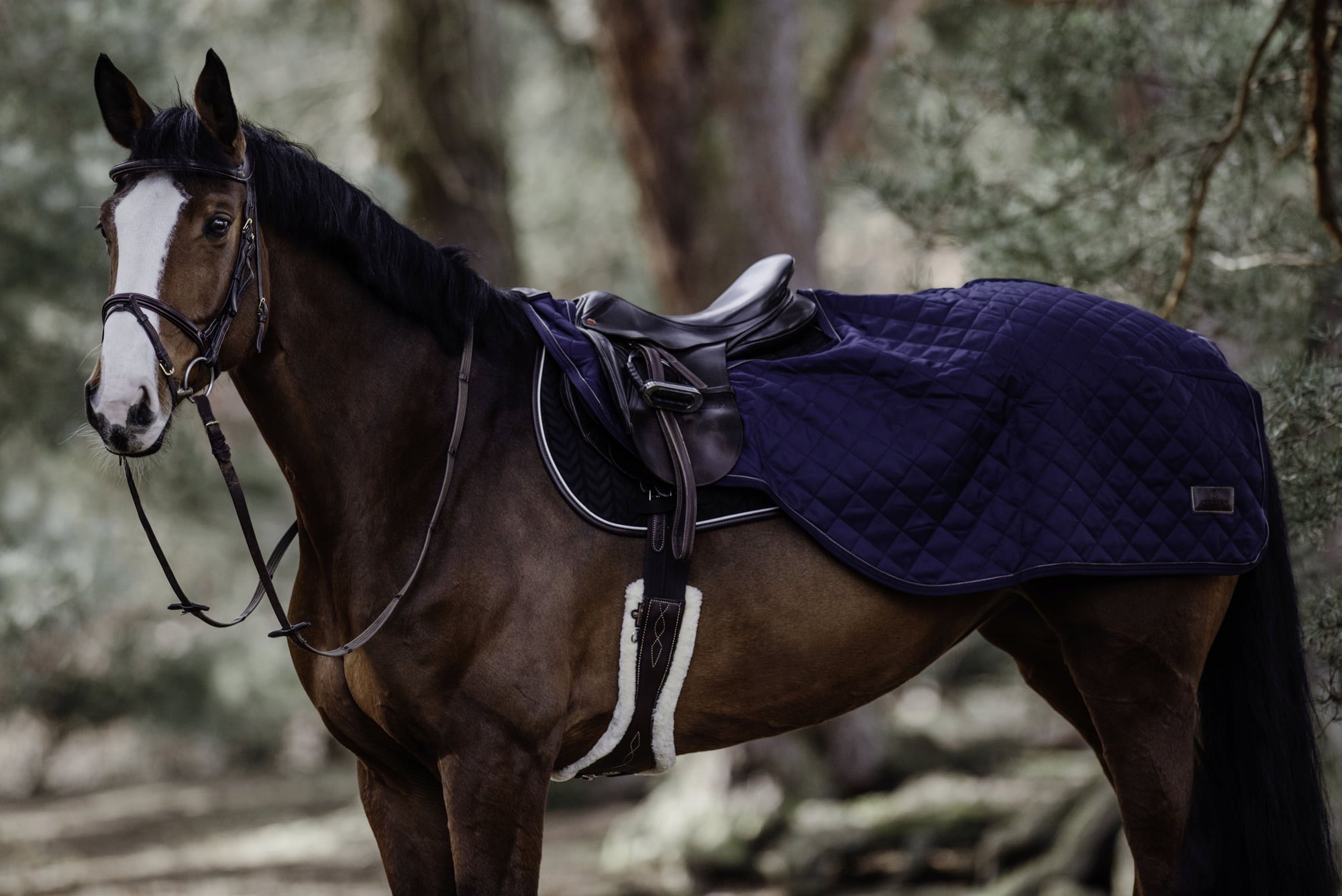 Kentucky Horsewear Ausreitdecke navy