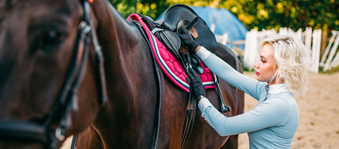 Proper Saddling of a Horse