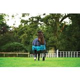 Horseware Ireland Mio Turnout Medium 200 g black/turqoise