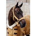 Kentucky Horsewear Show Rug Velvet 160 g - Mosterdgeel