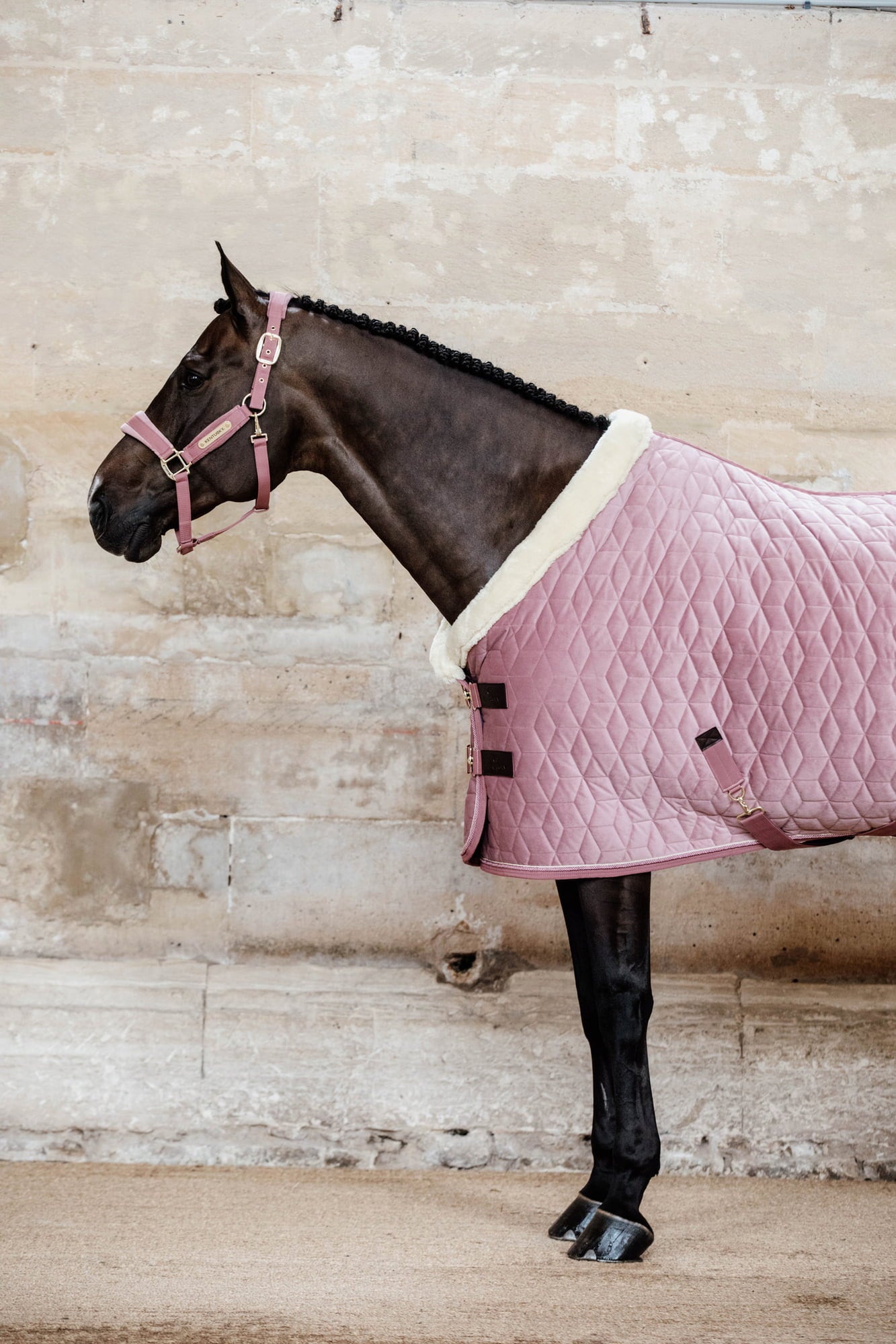 Kentucky Horsewear Turnirsko pregrinjalo 