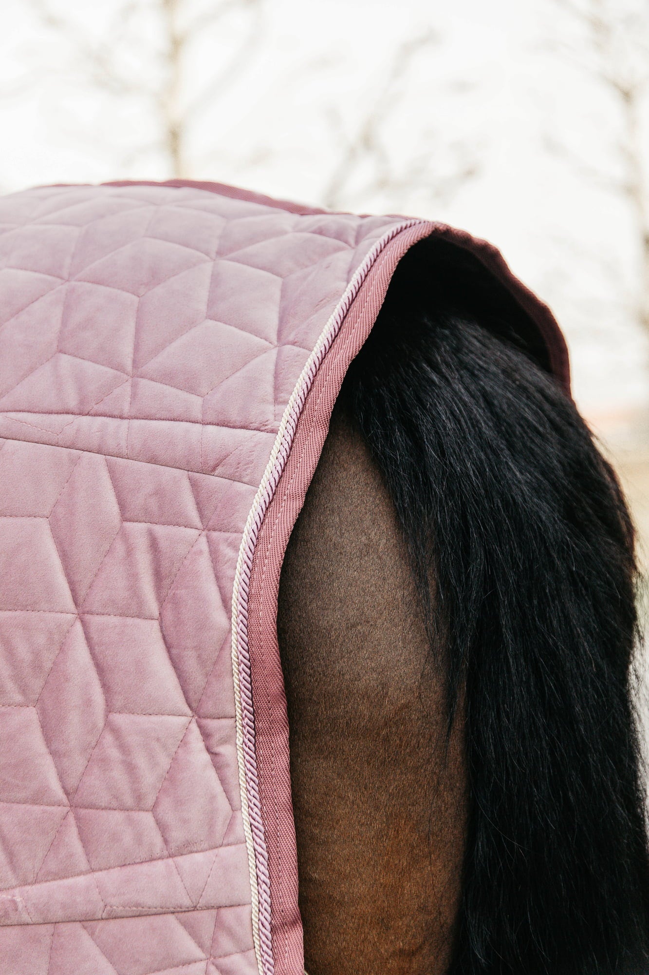 Kentucky Horsewear Turnirsko pregrinjalo 