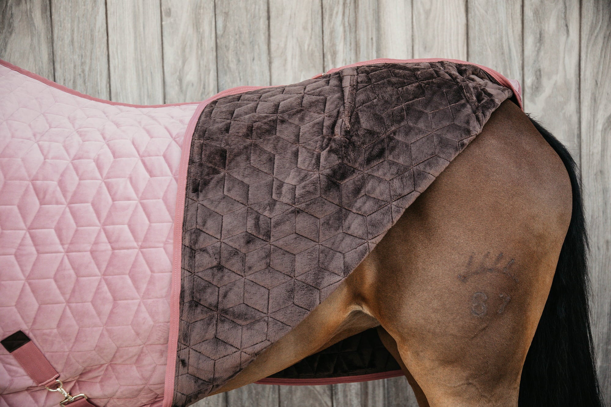 Kentucky Horsewear Turnirsko pregrinjalo 