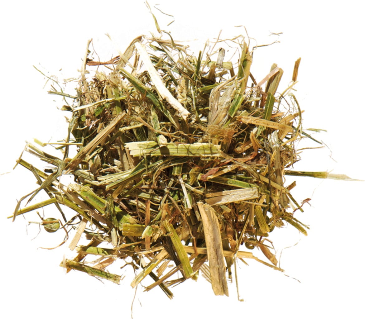 Agrobs Luzerne + - 15 kg