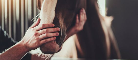 Qu'est-ce que la gale de boue ?