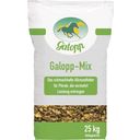Galopp Mix - 25 кг