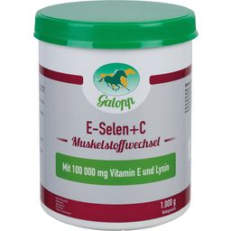 Galopp Vitamin E + Selen