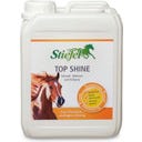 Top Shine, 2,50 l
