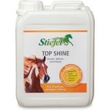 Stiefel Top Shine