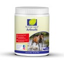 Arthrofit, 500 g