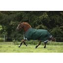 Horseware Ireland Rambo Original Turnout 100g, Green/Red