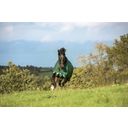 Horseware Ireland Rambo Original Turnout 100g, Green/Red