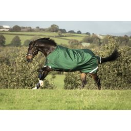 Horseware Ireland Rambo Original Turnout 100g, Green/Red