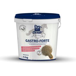 DERBY Gastro Forte