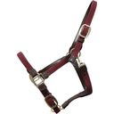 Kentucky Horsewear Plaited Nylon Halter Bordeaux - Cob