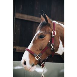 Kentucky Horsewear Plaited Nylon Halter Bordeaux - Cob