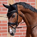 Bonnet FLY-AIR - Taille cheval, Noir