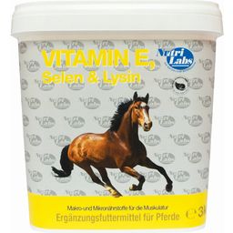 VITAMIN E, SELENIUM & LYSINE Powder for Horses