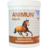 NutriLabs ANIMUN EQUIN Powder for Horses