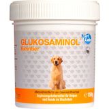 NutriLabs GLUKOSAMINOL Powder for Small Animals