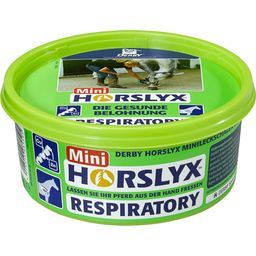DERBY Horslyx Respiratory - 650 г