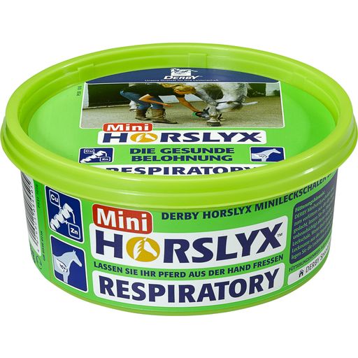 DERBY Horslyx Respiratory - 650 g