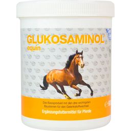 NutriLabs GLUKOSAMINOL EQUIN Poudre pour Chevaux - 600 g