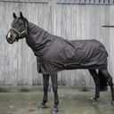 Kentucky Horsewear Turnout Rug All Weather Pro 160 g Brown