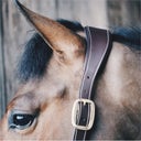 Kentucky Horsewear Leather 