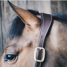 Kentucky Horsewear Leather 
