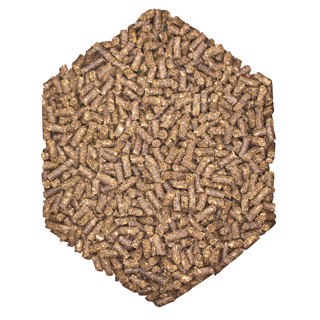 St.Hippolyt WES Basic Crunch Pellet