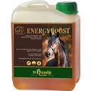 St.Hippolyt WES Energy Boost
