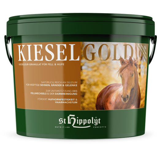 St.Hippolyt Kieselgold - 10 kg