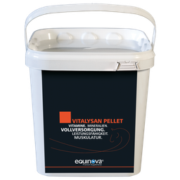 equinova Vitalysan Pellets - 10 kg