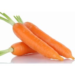 NATUSAT Лакомства от моркови