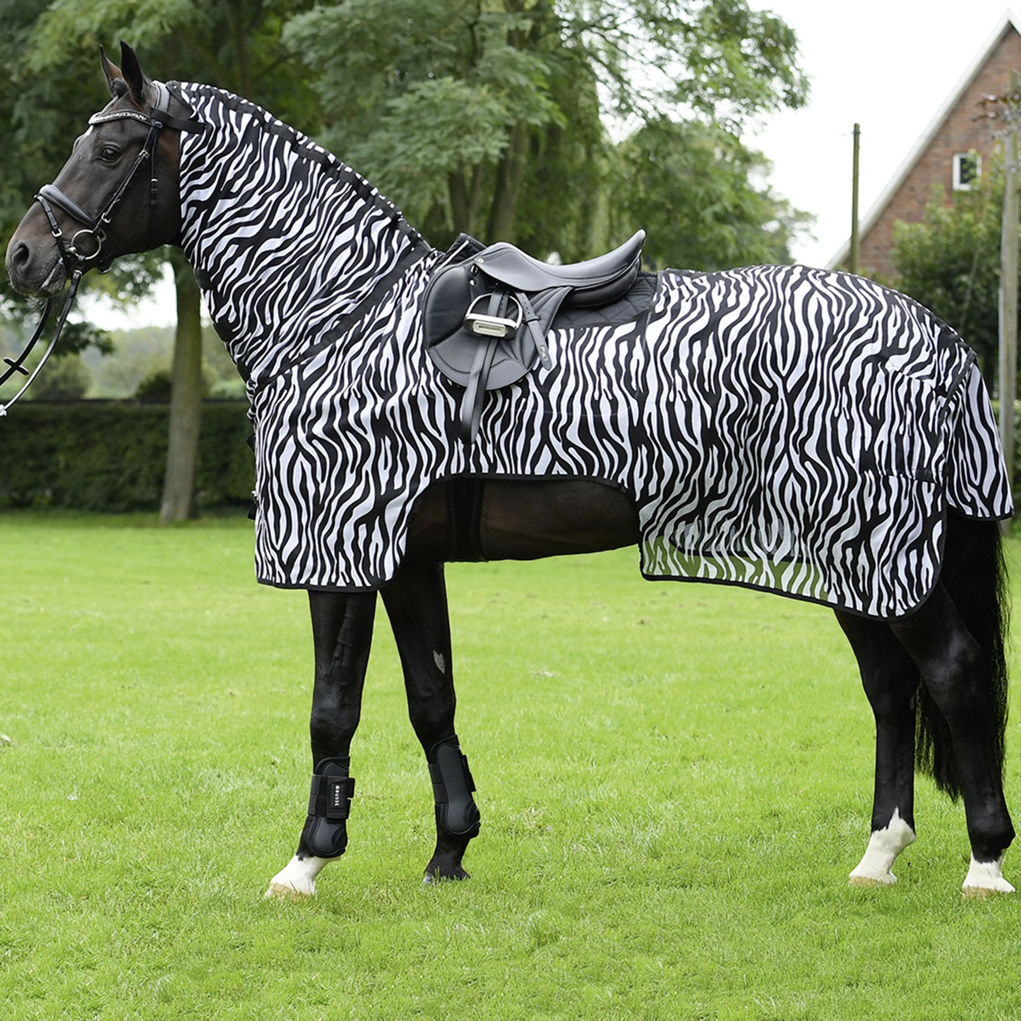 BUSSE MOSKITO ZEBRA III Riding Rug