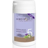 Dr. Weyrauch No. 5 Spring Awakening Tea - For People