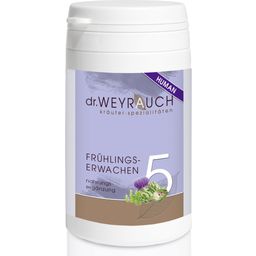 Dr. Weyrauch No. 5 Spring Awakening Tea - For People - 60 Capsules