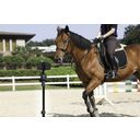 Pivo Equestrian Set - Equestrian Edition