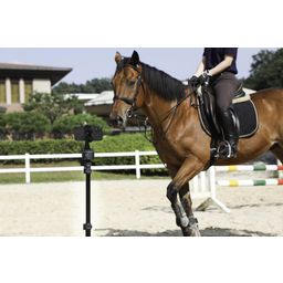 Pivo Reitsport Set - Equestrian Edition