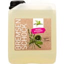 Bense & Eicke BremsenSchock Sommer-Edition - 2,50 l