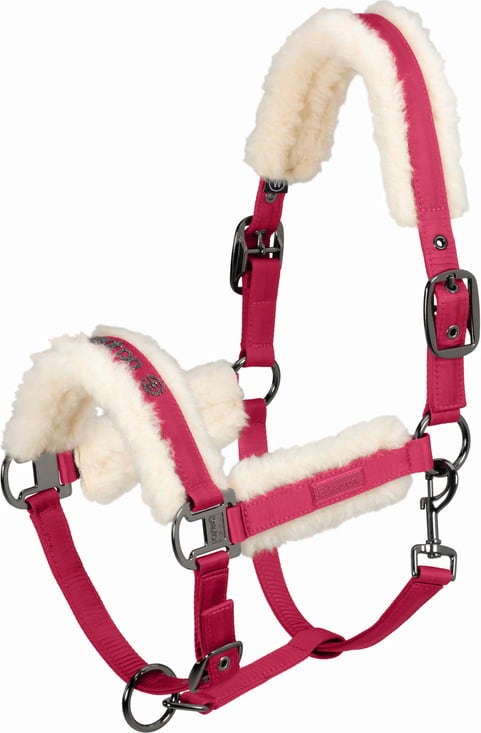 DOUBLEPIN GLOSSY EVO-WOOL Halter, Berry Fusion