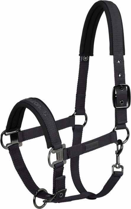 ESKADRON PIN-BUCKLE Halter, Deep Grey
