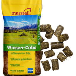 Marstall Meadow Cobs