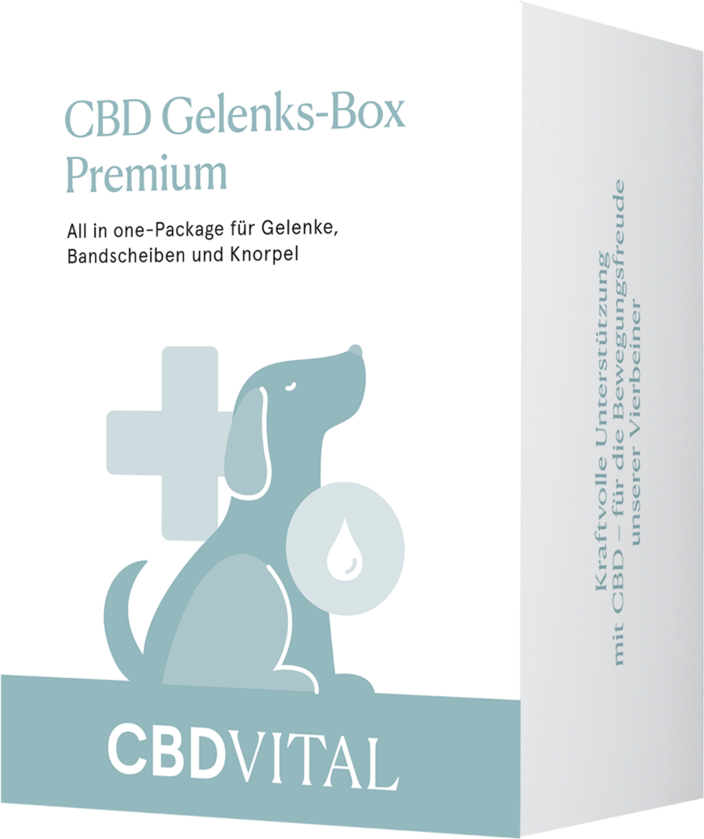 CBD VET Ставен комплекс-Box Premium за кучета - 1 кутия