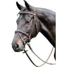 Curved Bridle with Decorative Details, Tobacco
