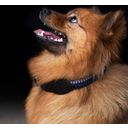 Dog Collar - HVPFranka Rope, Cloud Grey-Navy - XS