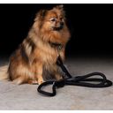 Dog Lead - HVPFranke Rope - Black