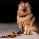 Dog Lead - HVPFranke Rope - Brown-Orange